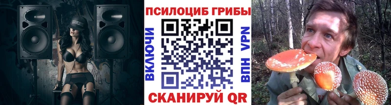 маркетплейс наркотические препараты  Приозерск  Галлюциногенные грибы GOLDEN TEACHER  цена наркотик 