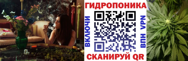наркотики  Приозерск  Шишки марихуана планчик 